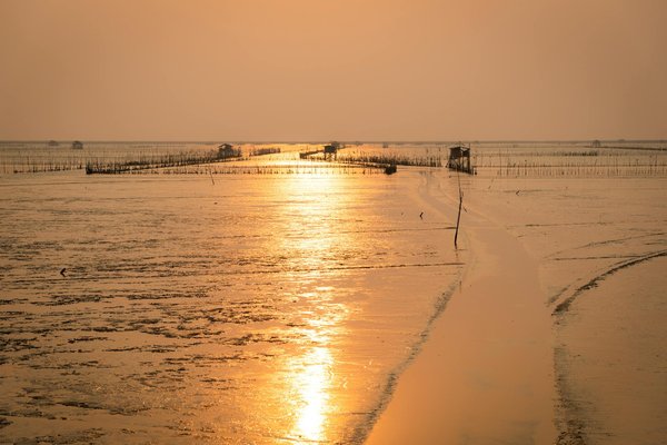 Découvrez les Top Outils de Comparaison Voyage pour Découvrir des Destinations Exotiques Inoubliables